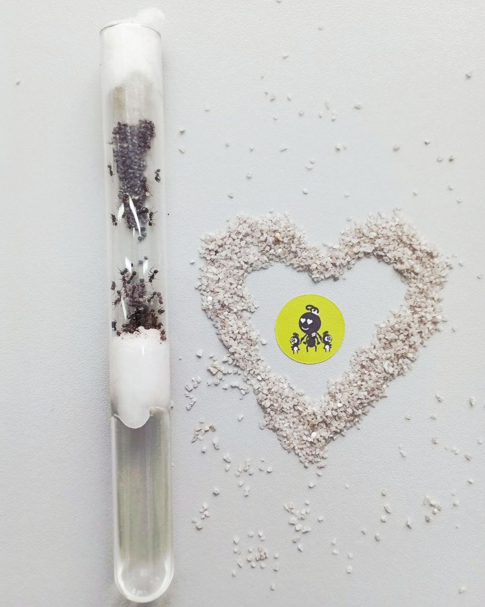 photo_2025-11-14_13-08-06