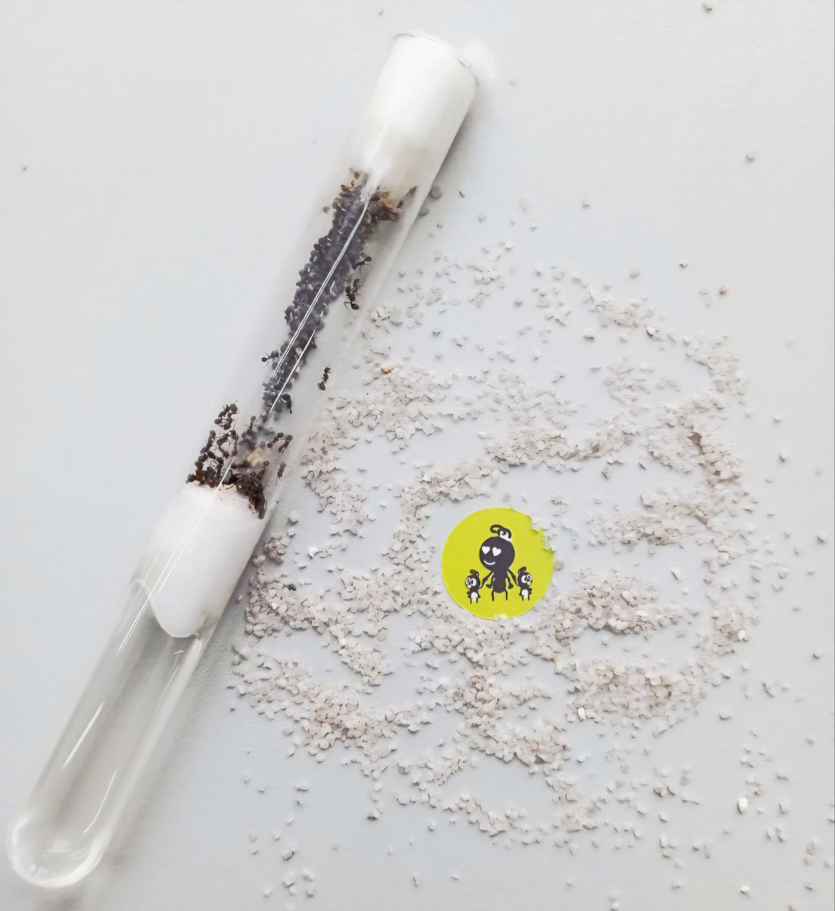 photo_2025-11-14_13-08-06 (2)