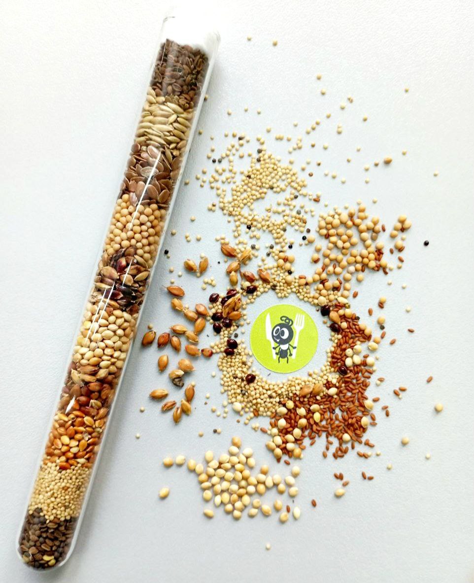 photo_2025-11-14_13-08-08 (3)