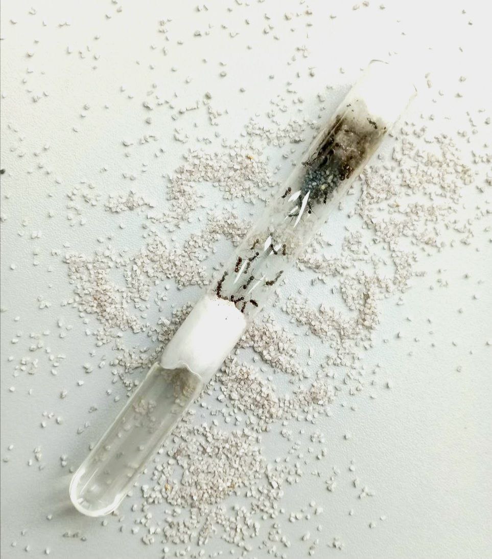 photo_2025-11-14_13-08-07