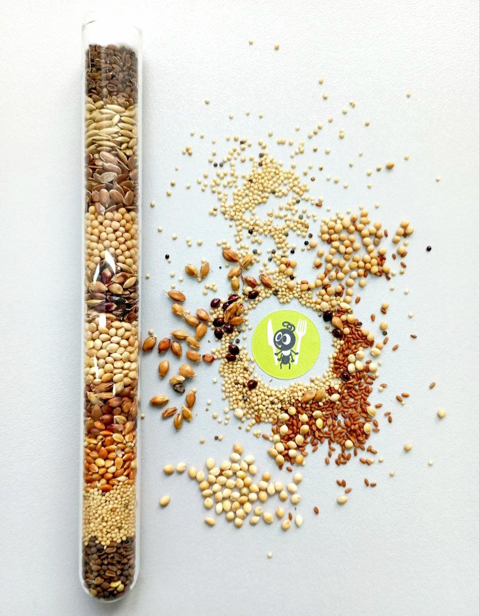 photo_2025-11-14_13-08-08 (4)