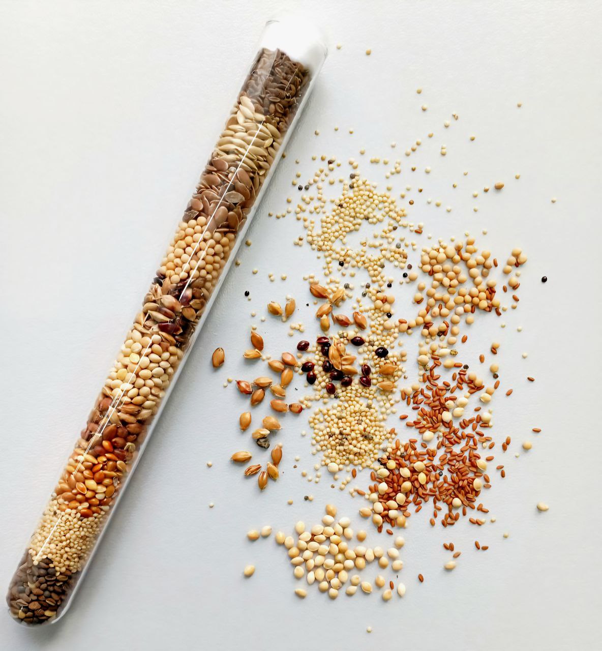 photo_2025-11-14_13-08-08 (5)