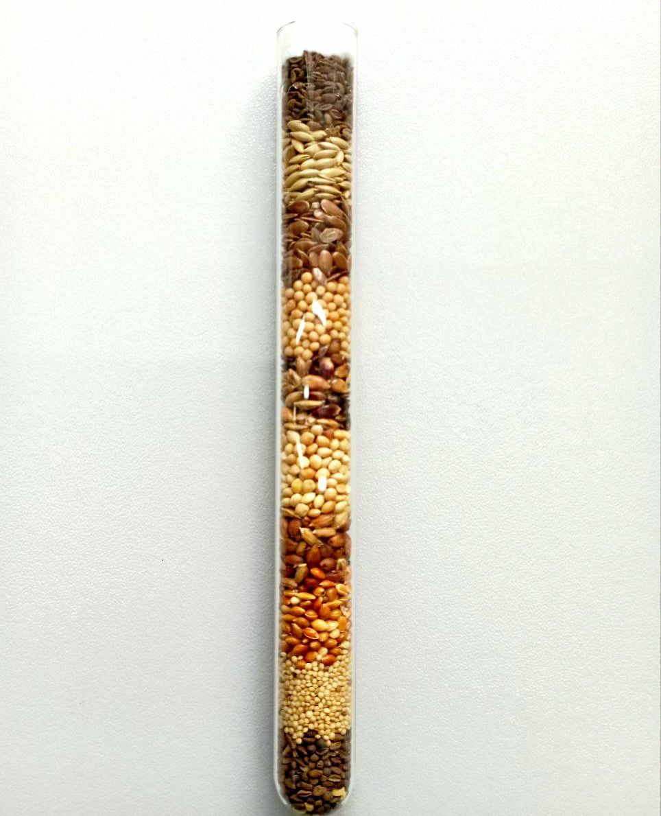 photo_2025-11-14_13-08-09 (2)