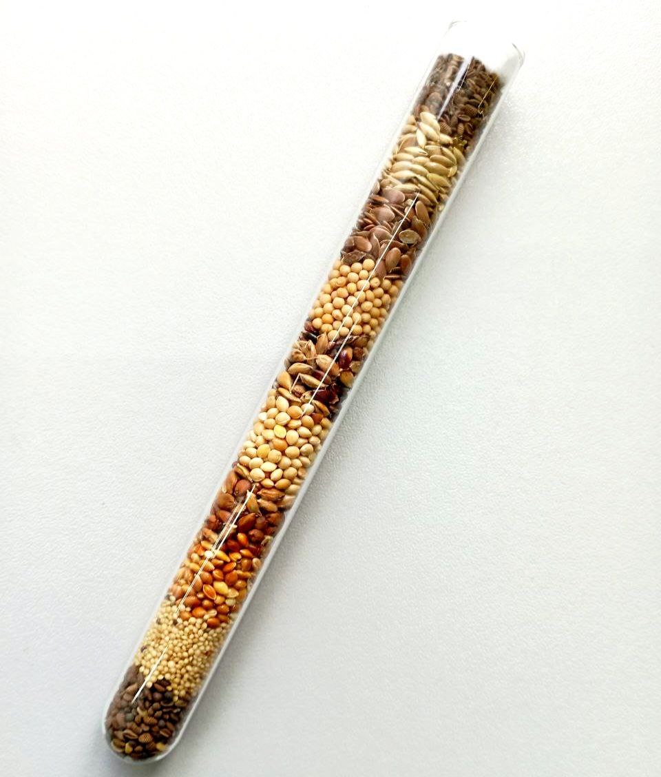 photo_2025-11-14_13-08-09 (3)