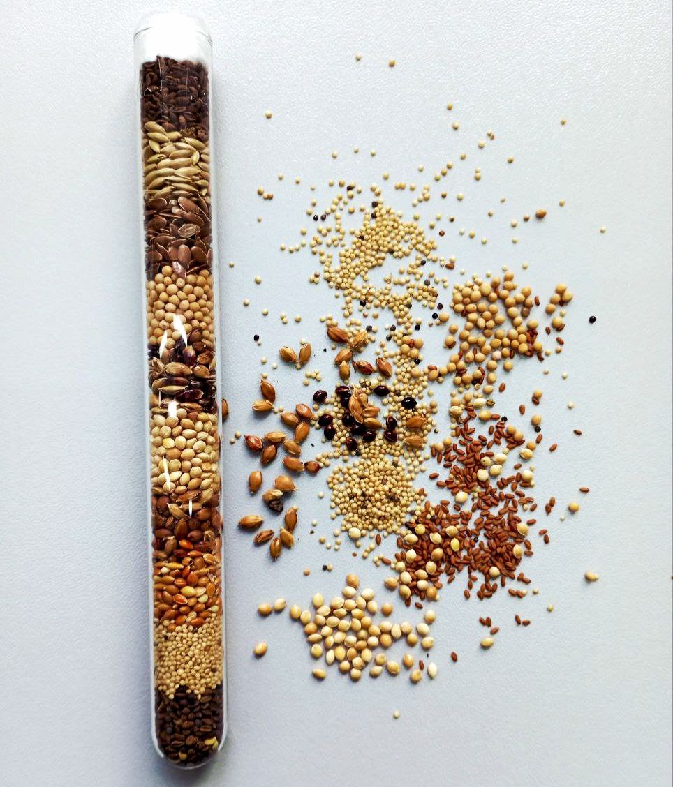 photo_2025-11-14_13-08-09